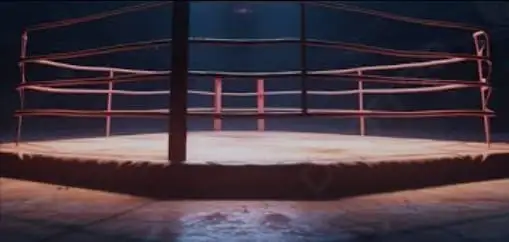 FUERTE VIDEO: Luchador ataca a mujer en pleno ring y recibe el peor castigo