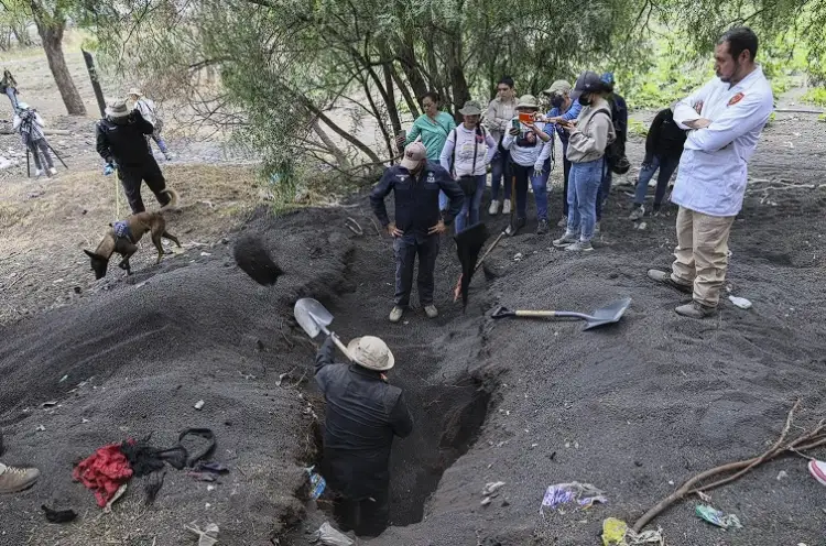 Hallazgo de Huesos de Origen Animal en Presunto Crematorio Clandestino en Ciudad de México