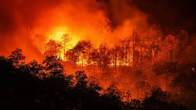 Incendio forestal en Sierra Gorda afecta a San Luis Potosí y Guanajuato