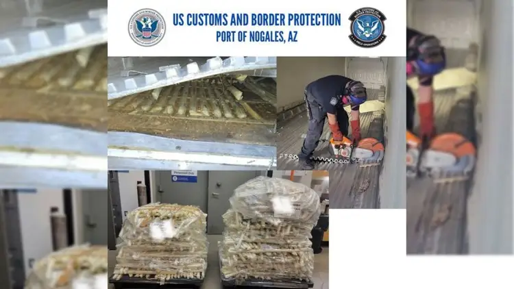 Decomisa CBP más de 500 Kilos de droga oculta en cargamento de frutas en garitas de Nogales
