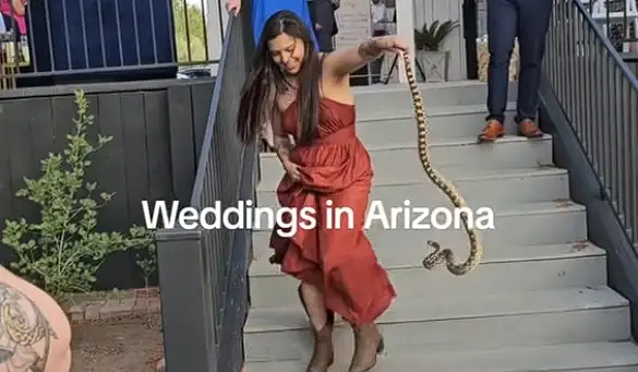 La domadora de serpientes en la boda de Arizona