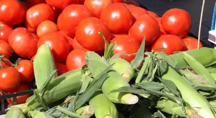 Anexo Técnico promueve la sostenibilidad agrícola en Baja California Sur