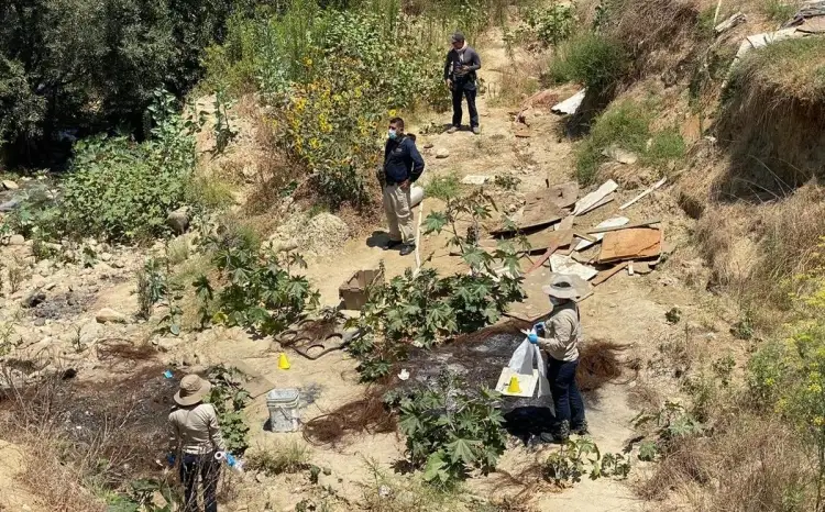 Descubren fosa clandestina con hasta 15 cadáveres; suman 62 los cuerpos encontrados en las últimas semanas