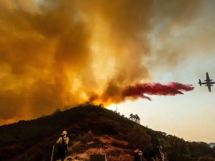 Pasadena Dobla Esfuerzos para Reducir Riesgo de Incendios