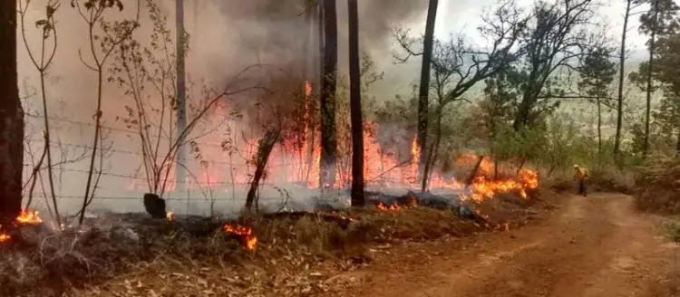 Incendios Forestales en Morelia: Controlados ambos siniestros, anuncia Gobernador