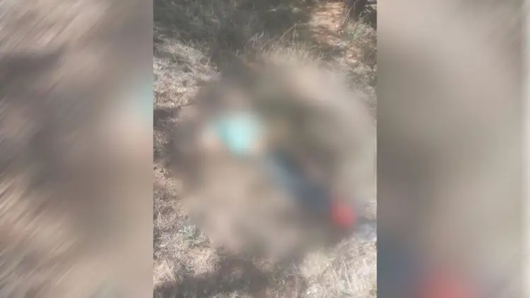 Identifican cadáver de hombre decapitado en sector Pima II de Nogales