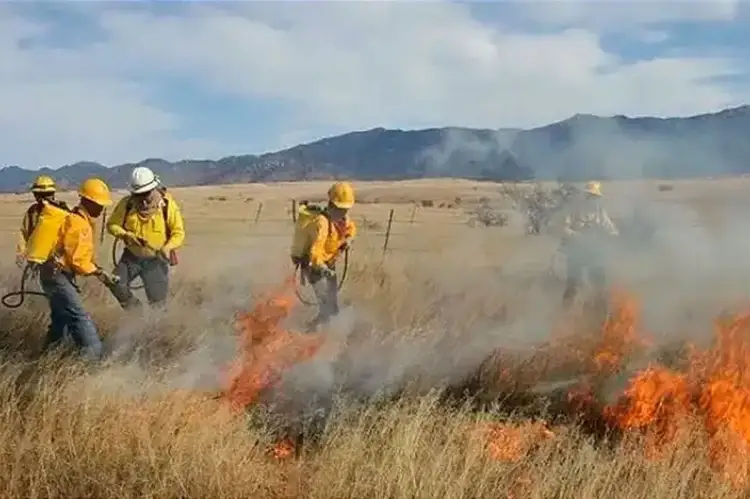 Incendios Forestales: Prioridad en el sur de Sonora