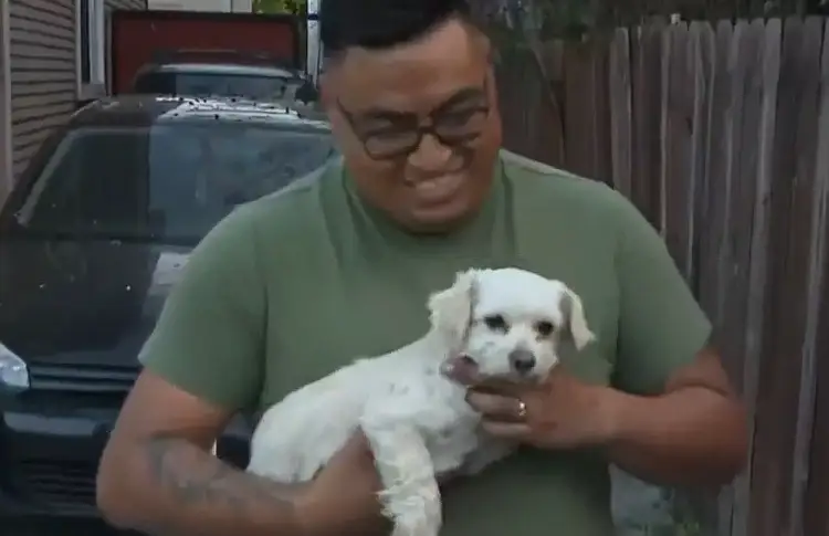 Heroína canina salva a familia de incendio en Los Ángeles