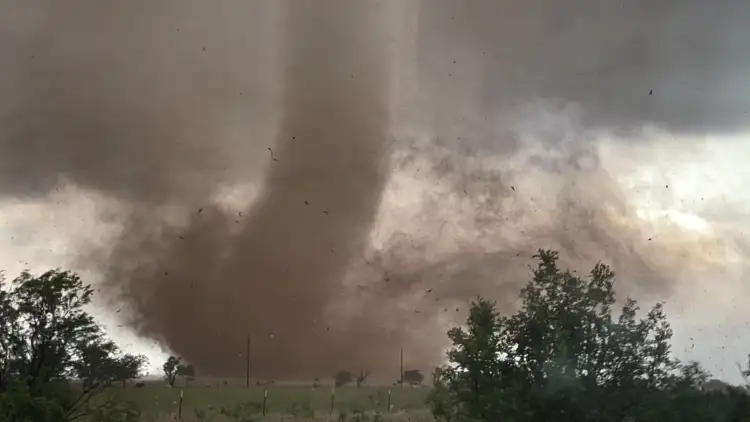 Tormentas azotan Texas: más de 750,000 hogares sin suministro eléctrico