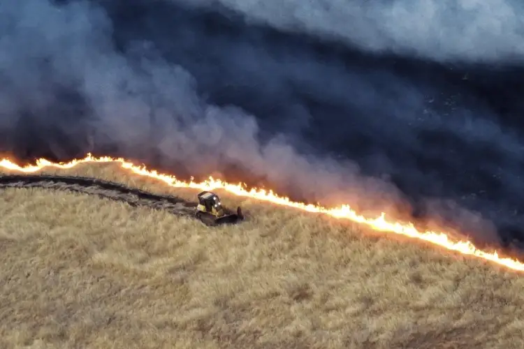 Incendio en California arrasa cientos de hectáreas