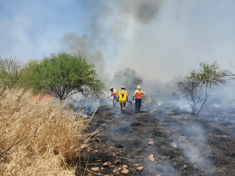 Combaten brigadistas de Sonora y Chihuahua incendio forestal en Yécora