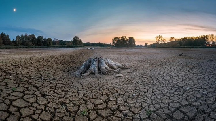 Protegiendo nuestra tierra: Día Mundial Contra la Desertificación y la Sequía