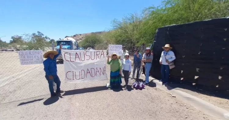Activistas bloquean acceso a La Sauceda en protesta por destrucción de árboles