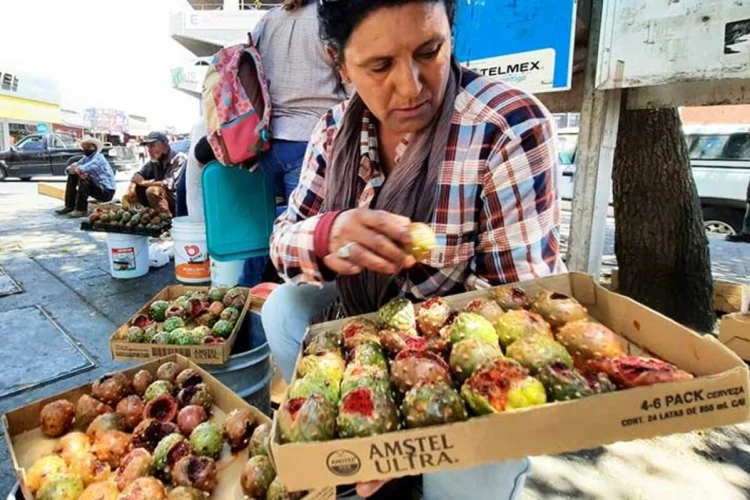 Vendedores de pitayas en Hermosillo: ¿Desplazados de los alrededores del Mercado Municipal?