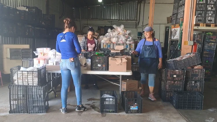 Banco de Alimentos de Nogales recibe importantes donaciones de empresas locales - FOTOS