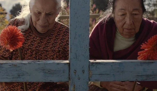 Cortometraje mexicano 'La Soledad' conquista el BAFTA Estudiantil