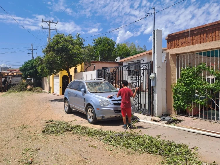 FOTOS: Lluvia Monzónica en Nogales: Caída de árboles y afectaciones en colonia El Rodeo