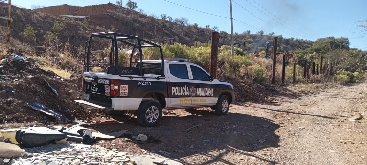 Crueldad Animal en Nogales: Investigan muerte de perros en la Esperanza