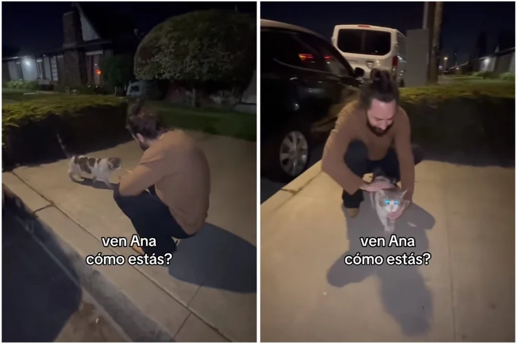 VIDEO: La adopción de un gatito callejero por un famoso rockero se vuelve viral en redes