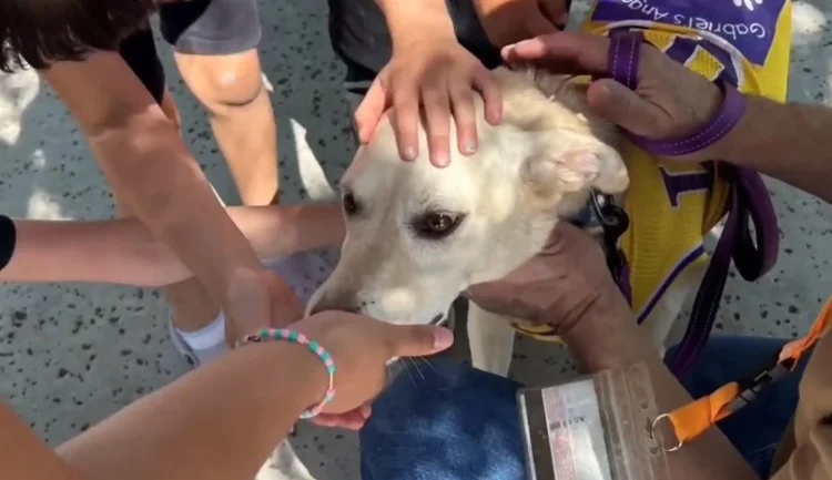 Unidos por el Amor: La Historia Inspiradora de "Team Kobe" y su Terapia con Mascotas