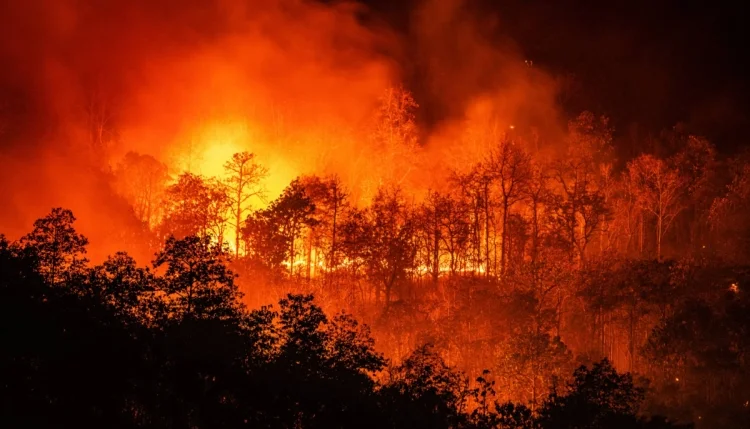 ¿Cómo se nombran los incendios forestales? Un sistema crucial para la seguridad de los bomberos