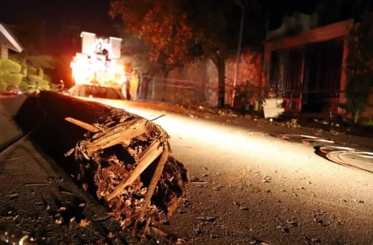 ¡Drama en Monterrey! Incendio tras caída de postes de luz en Camino de Los Kiwis