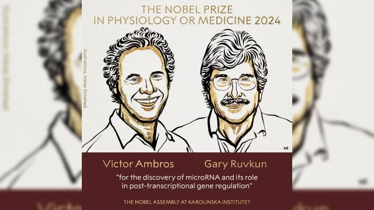 ¡Nobel de Medicina 2024: Descubrimiento de micro-ARN revoluciona la regulación genética!