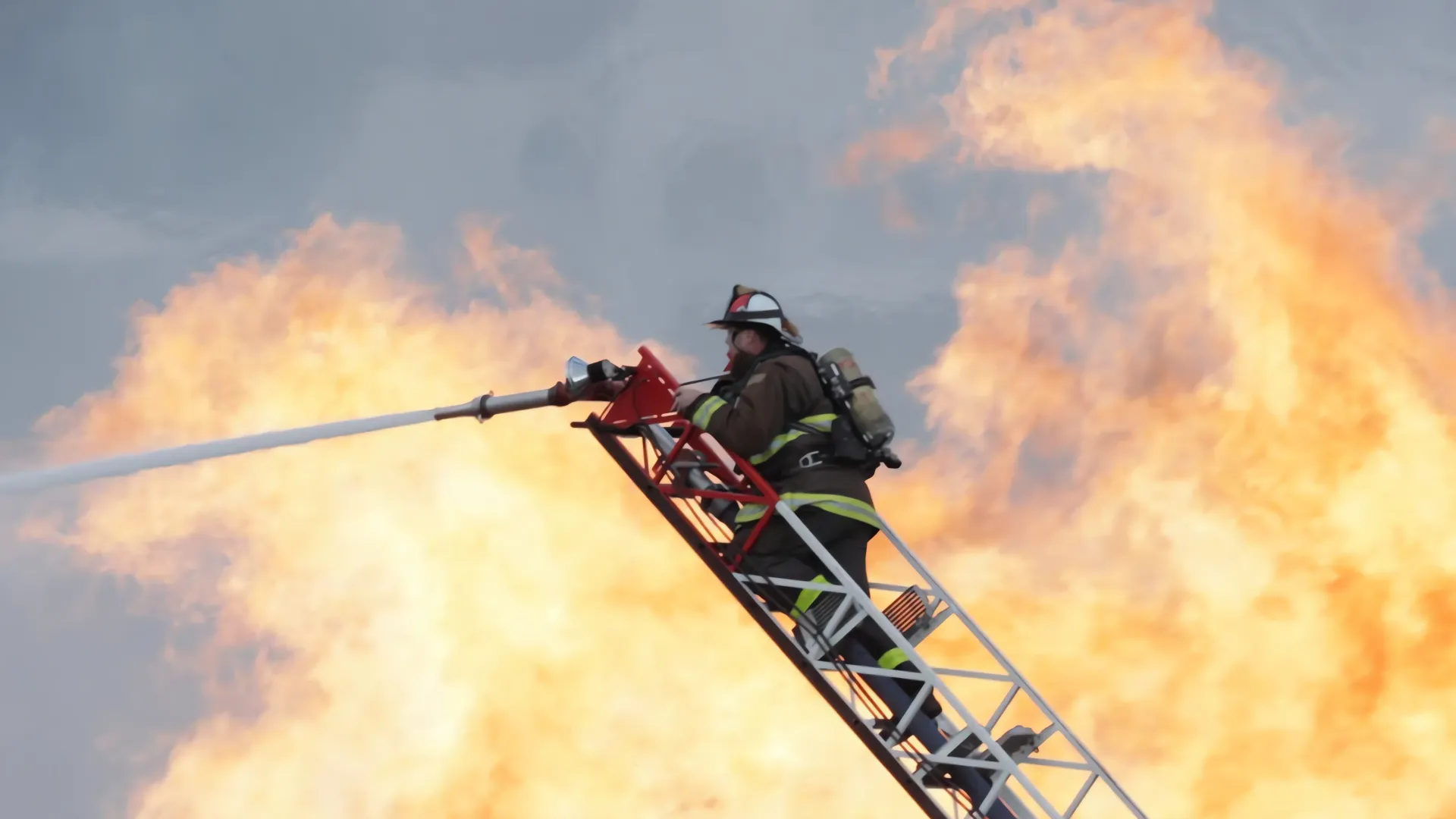 Incendio en San Francisco: Rescate de una persona y dos gatos en Little Saigon