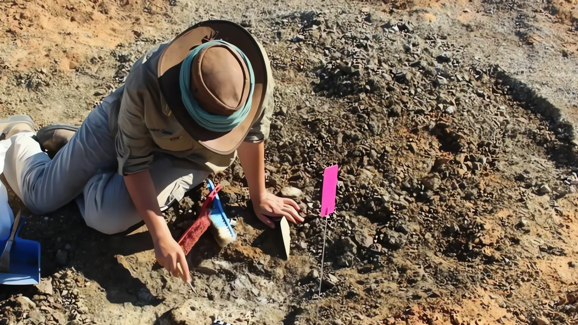 Descubrimiento histórico: Fósiles milenarios en construcción de escuela