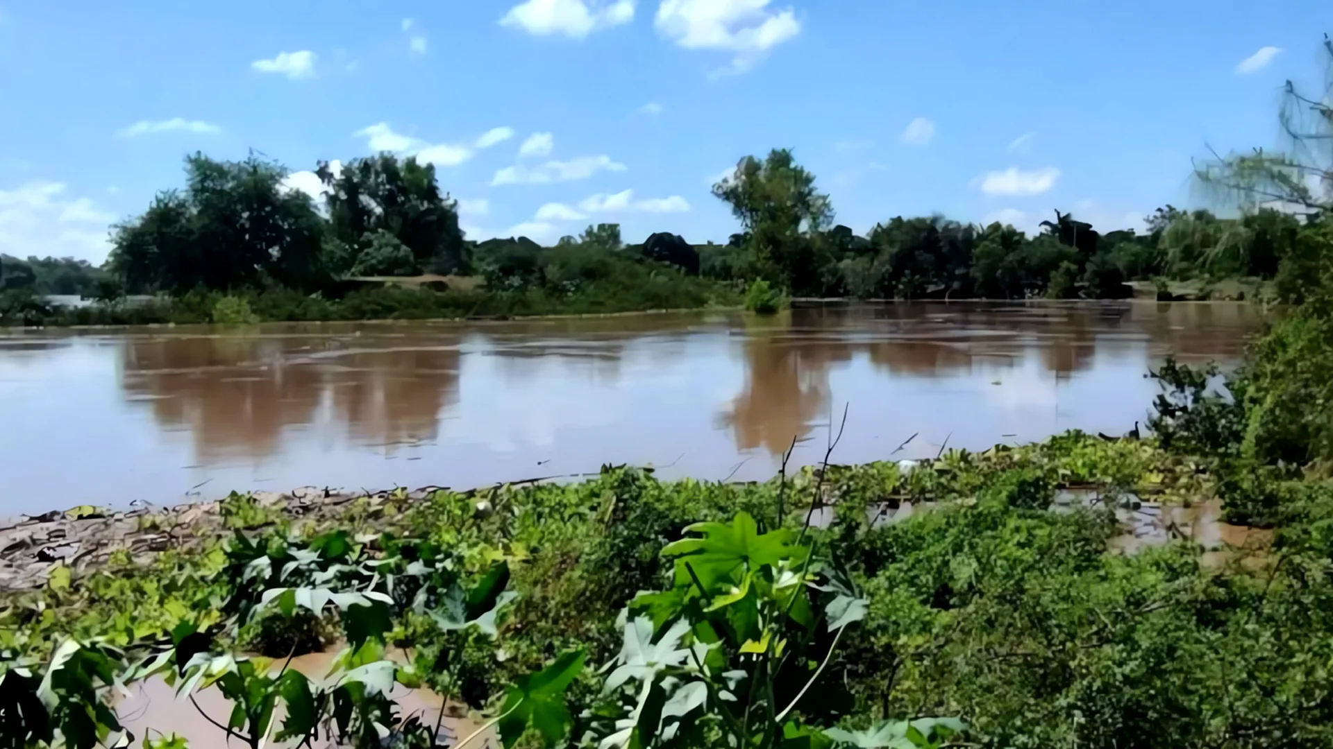 Descenso del río en Guasave: ¿Regresarán las familias a sus hogares?