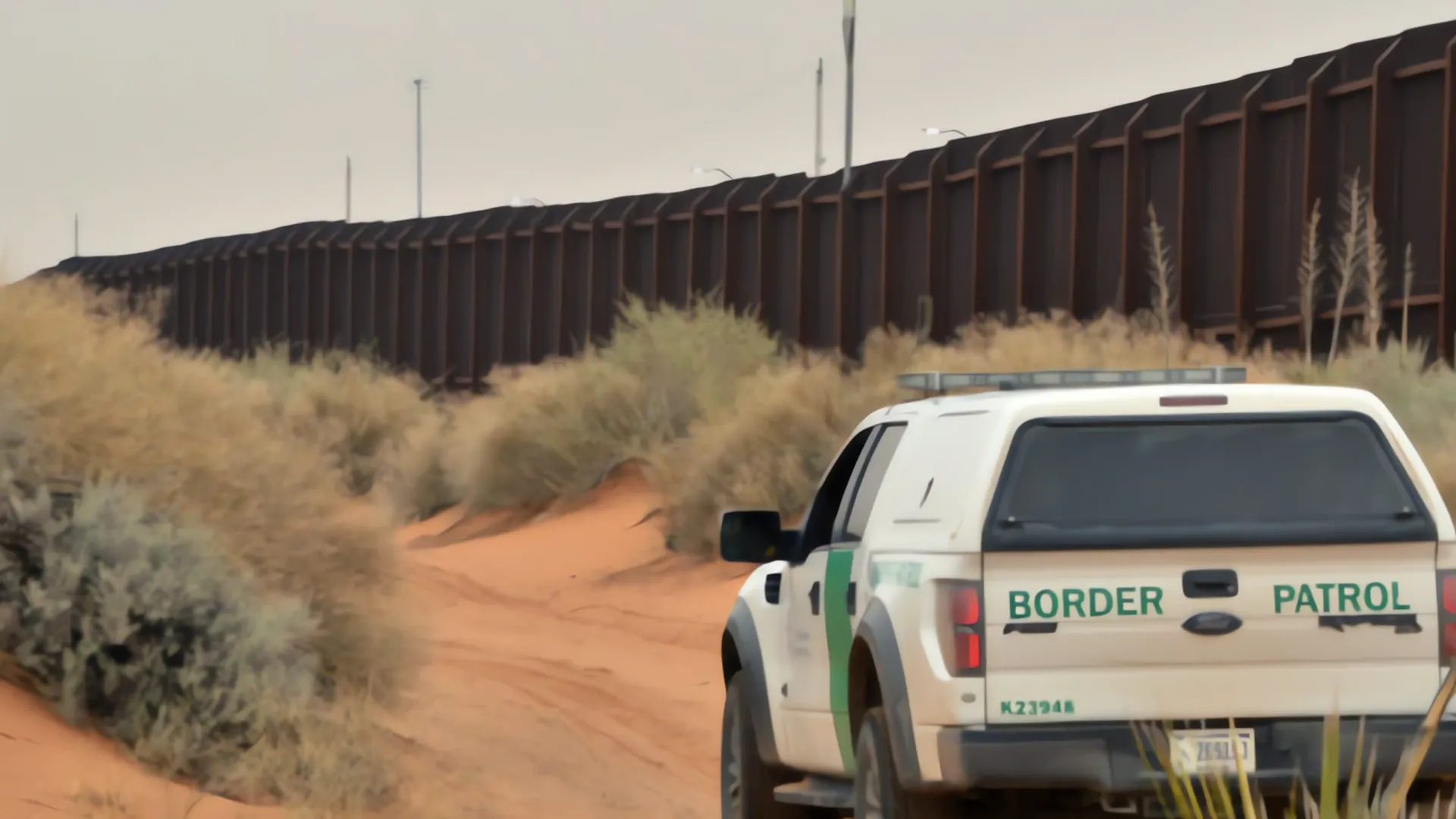 Agente canino descubre cargamento de drogas en la frontera