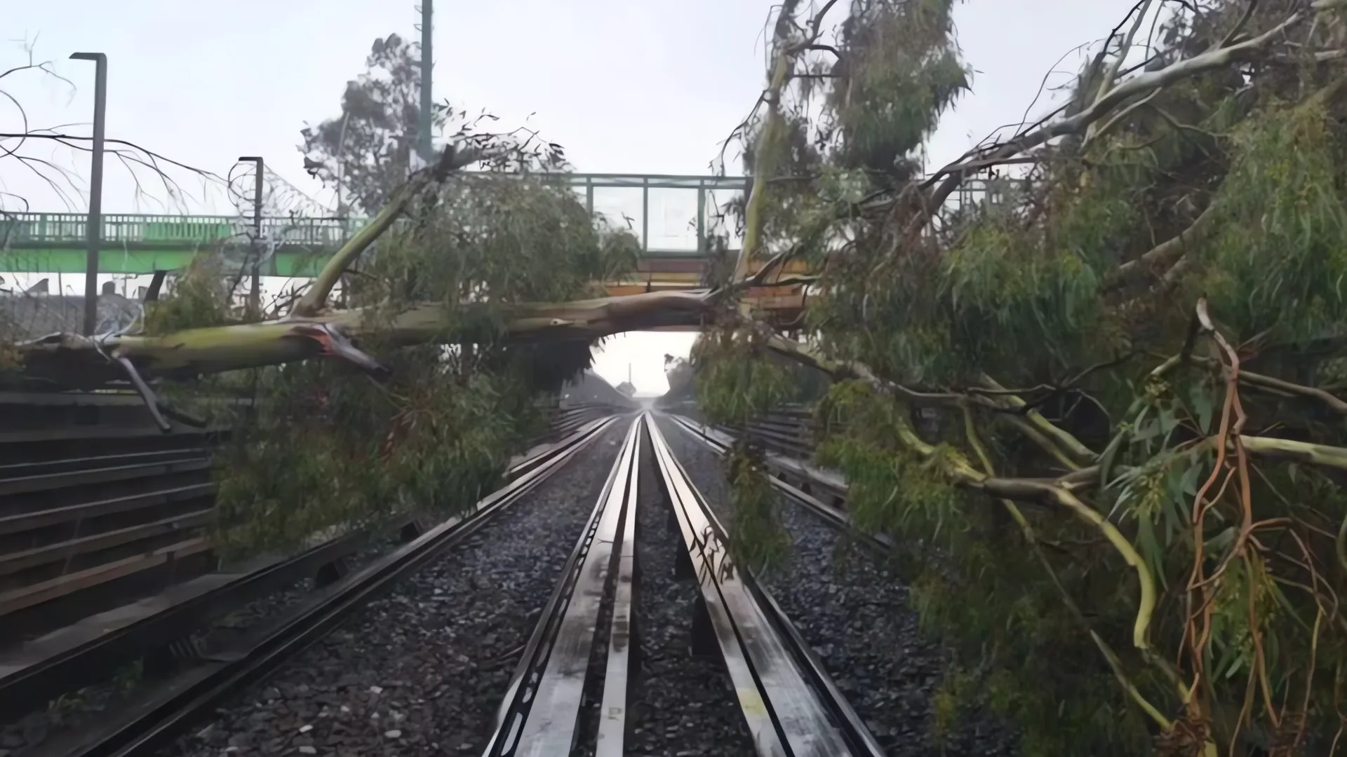 Caos en el Metro: Servicio de la Línea B interrumpido por caída de árboles