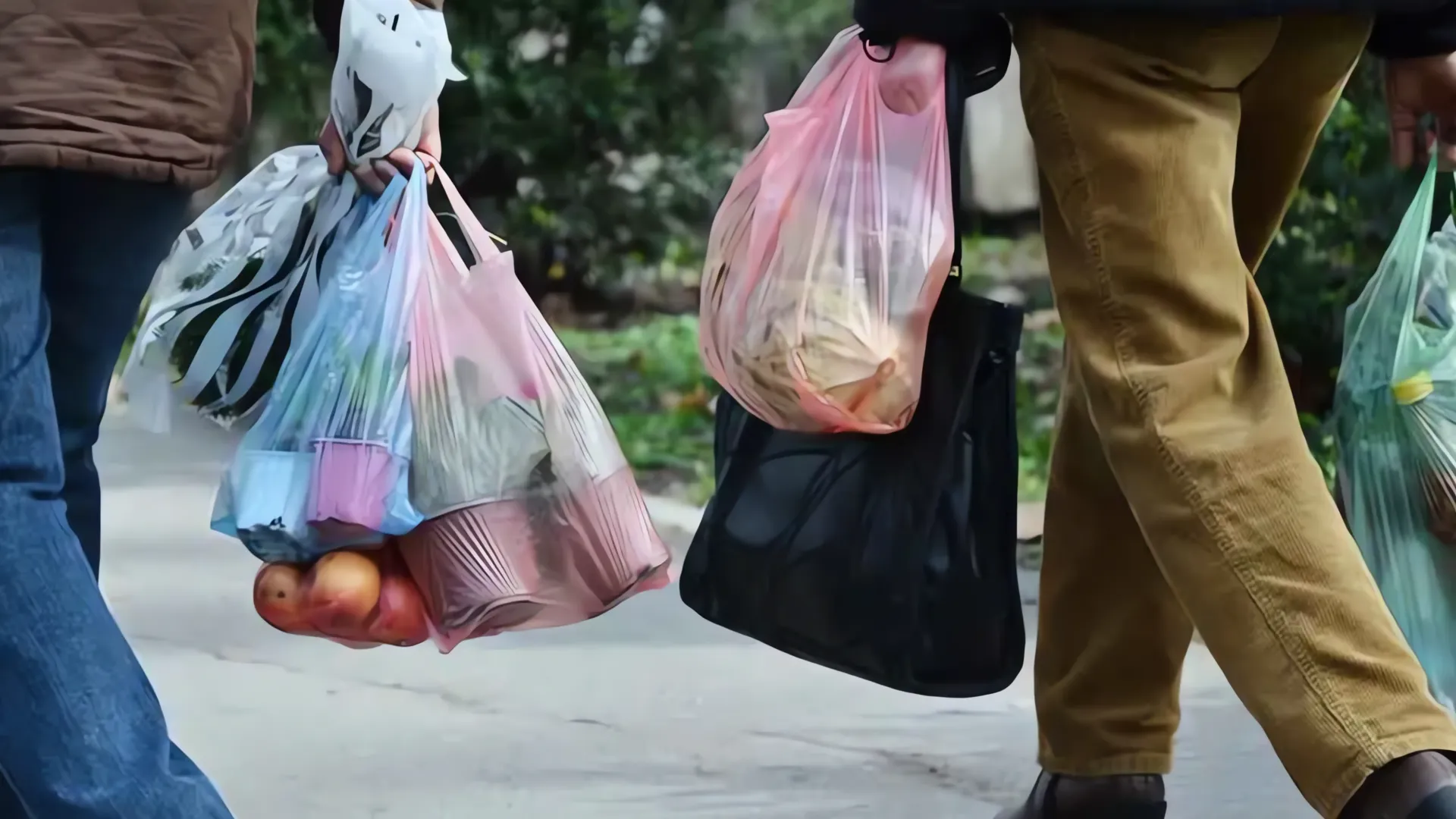 California dice adiós a las bolsas de plástico: Una ley histórica para combatir la contaminación