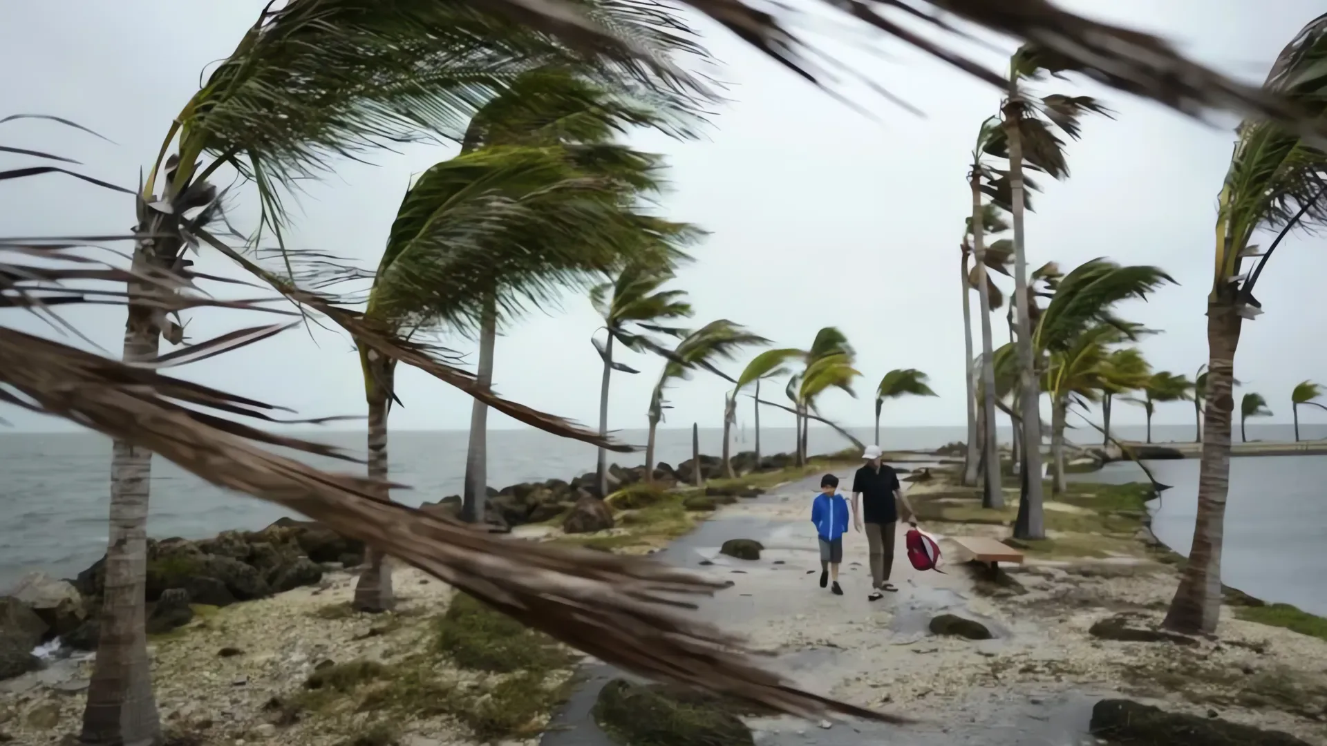 Alerta roja: Tormenta tropical amenaza Florida