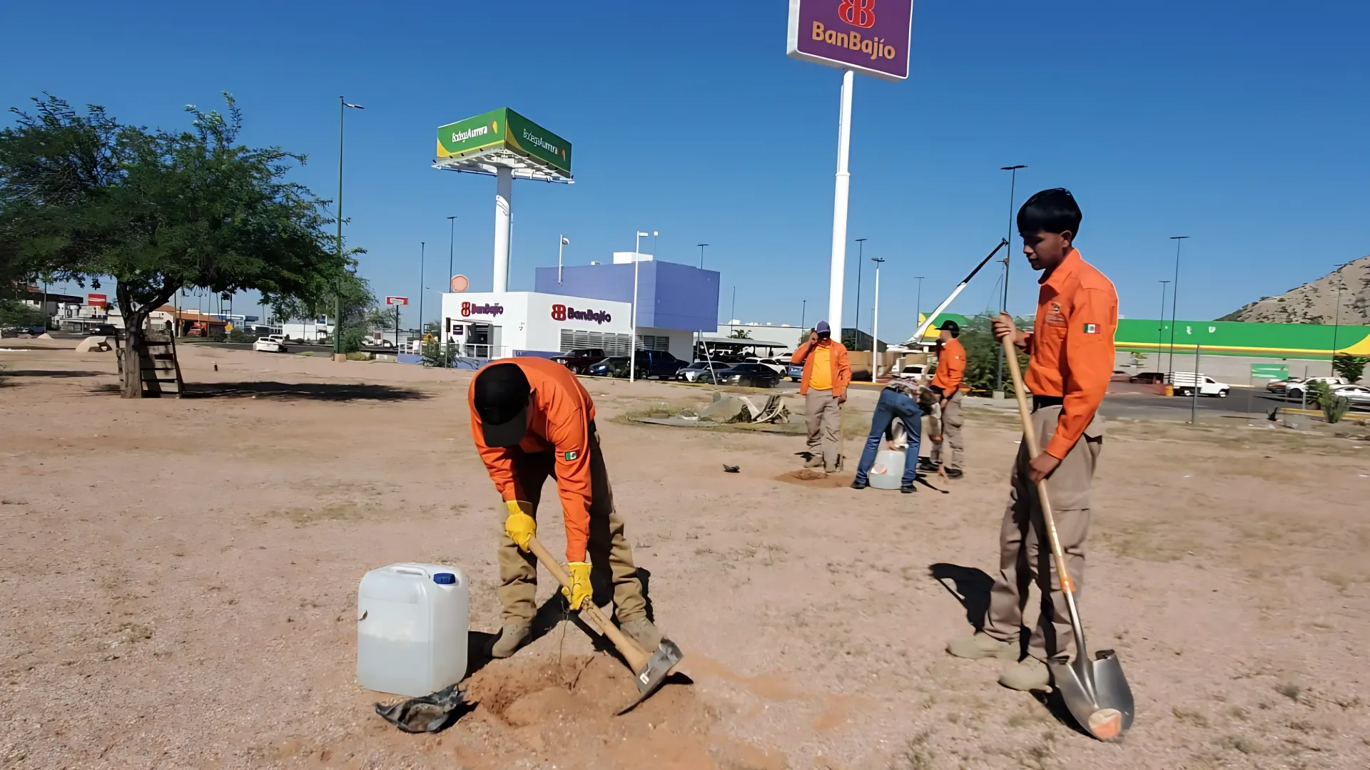 Brigada estatal realiza reforestación al sur de Hermosillo