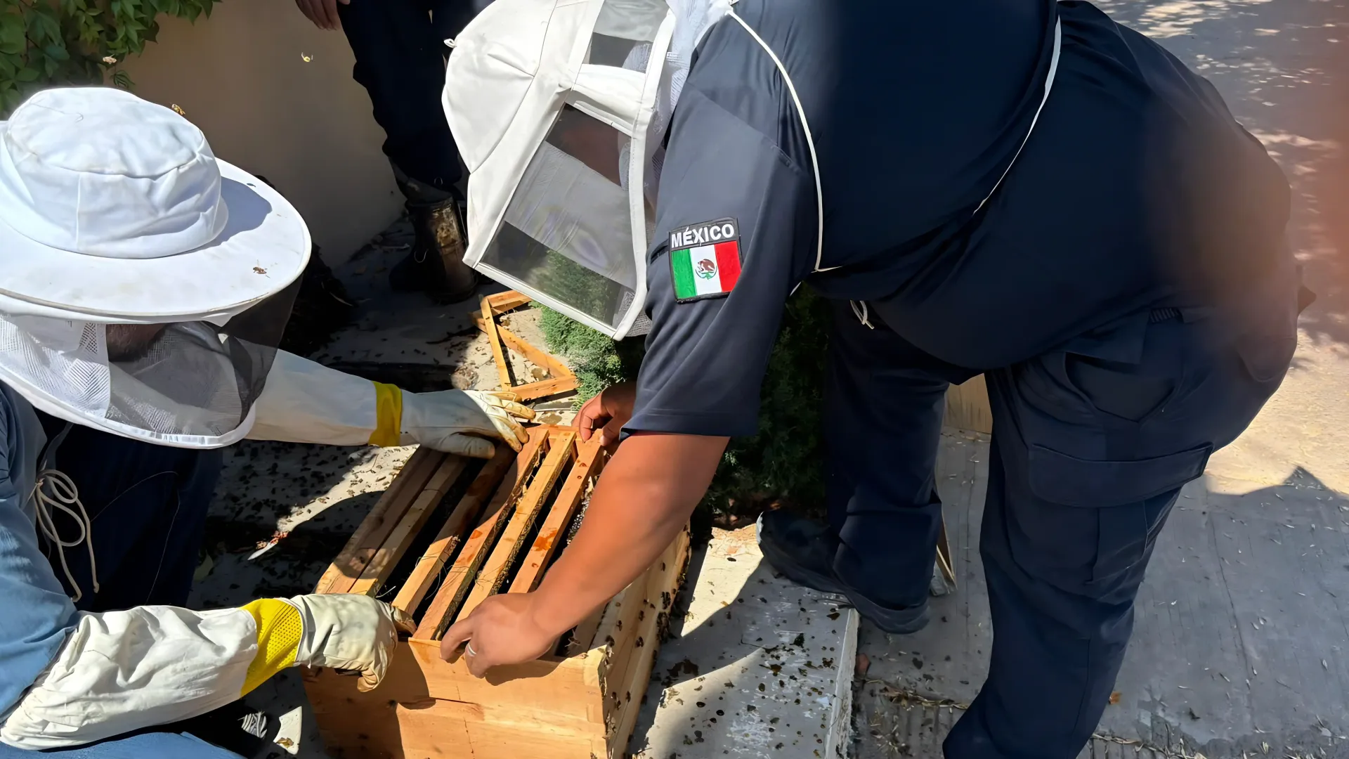 Bomberos de Nogales reciben capacitación en apicultura para atender emergencias con abejas