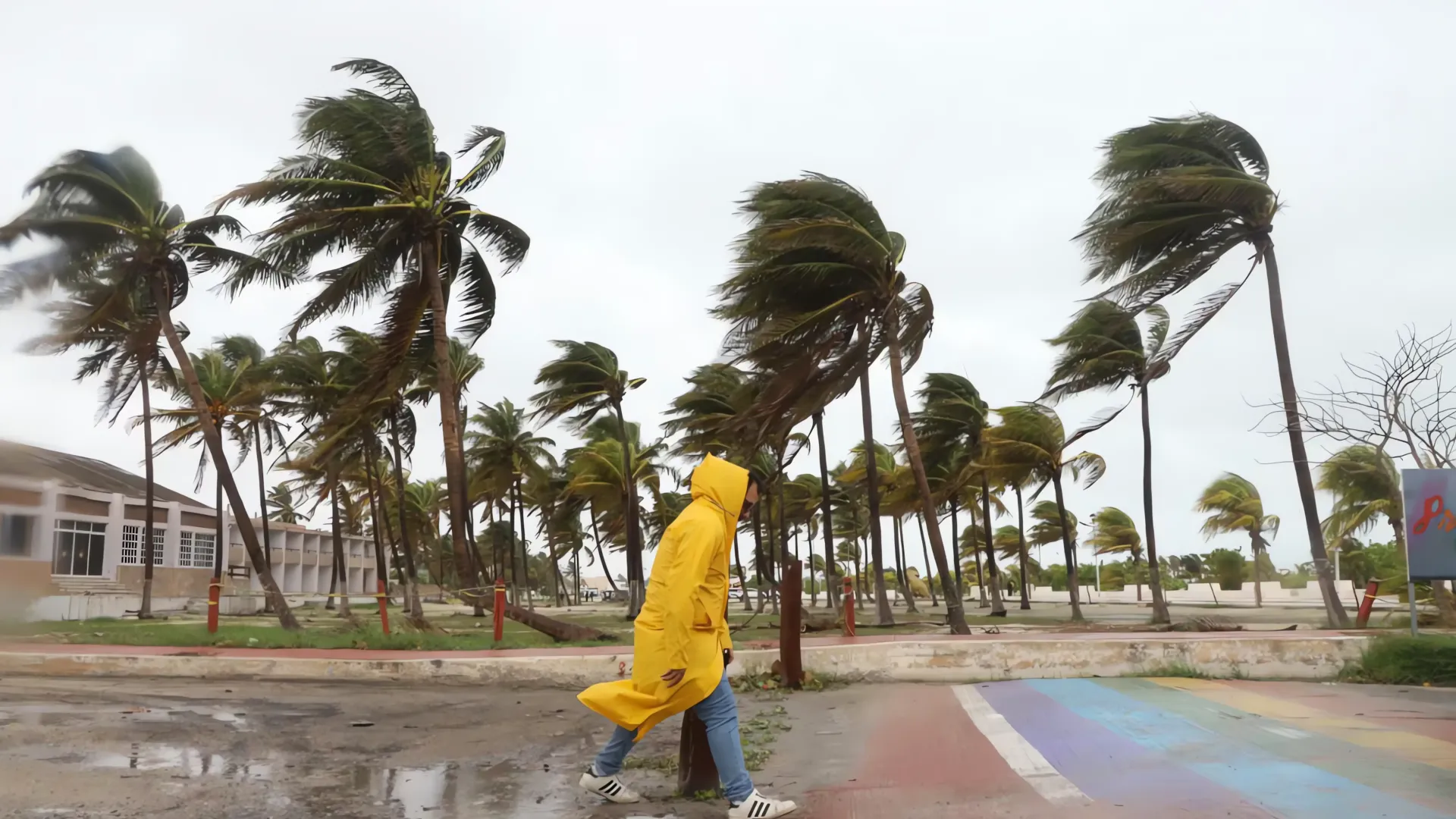 Yucatán se recupera tras el huracán 'Milton': Regreso a clases, transporte y reactivación económica