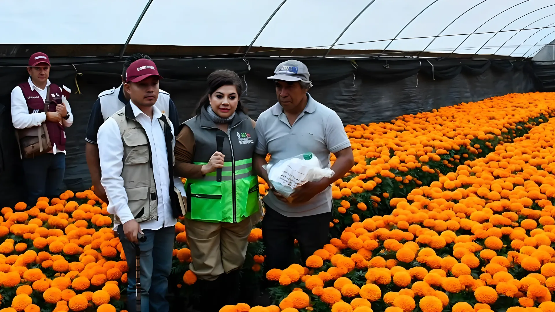 Xochimilco: Inundaciones ponen en riesgo el cempasúchil para Día de Muertos, ¿habrá apoyo?