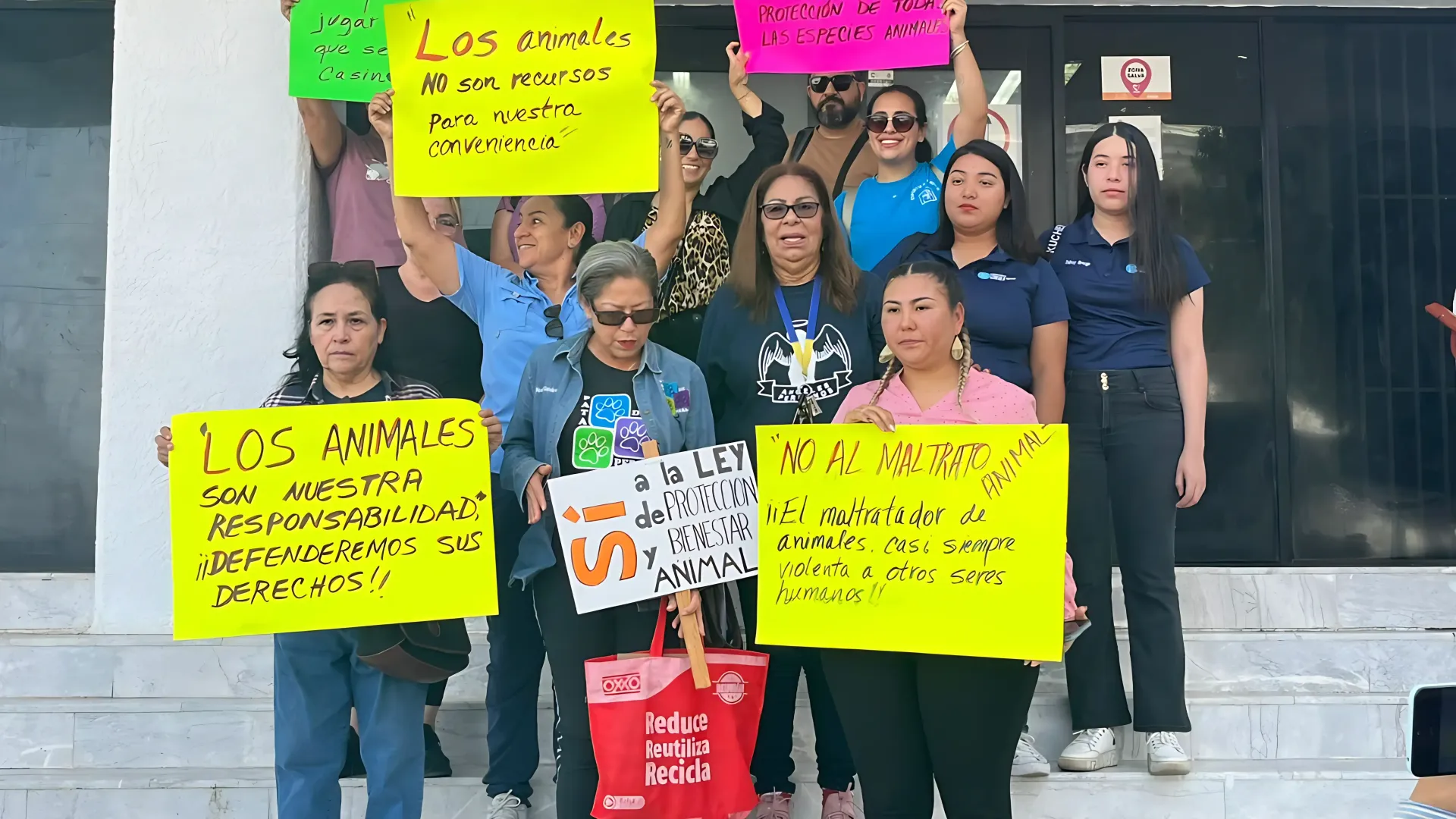 Colectivos animalistas respaldan la nueva Ley de Protección y Bienestar Animal en Sonora