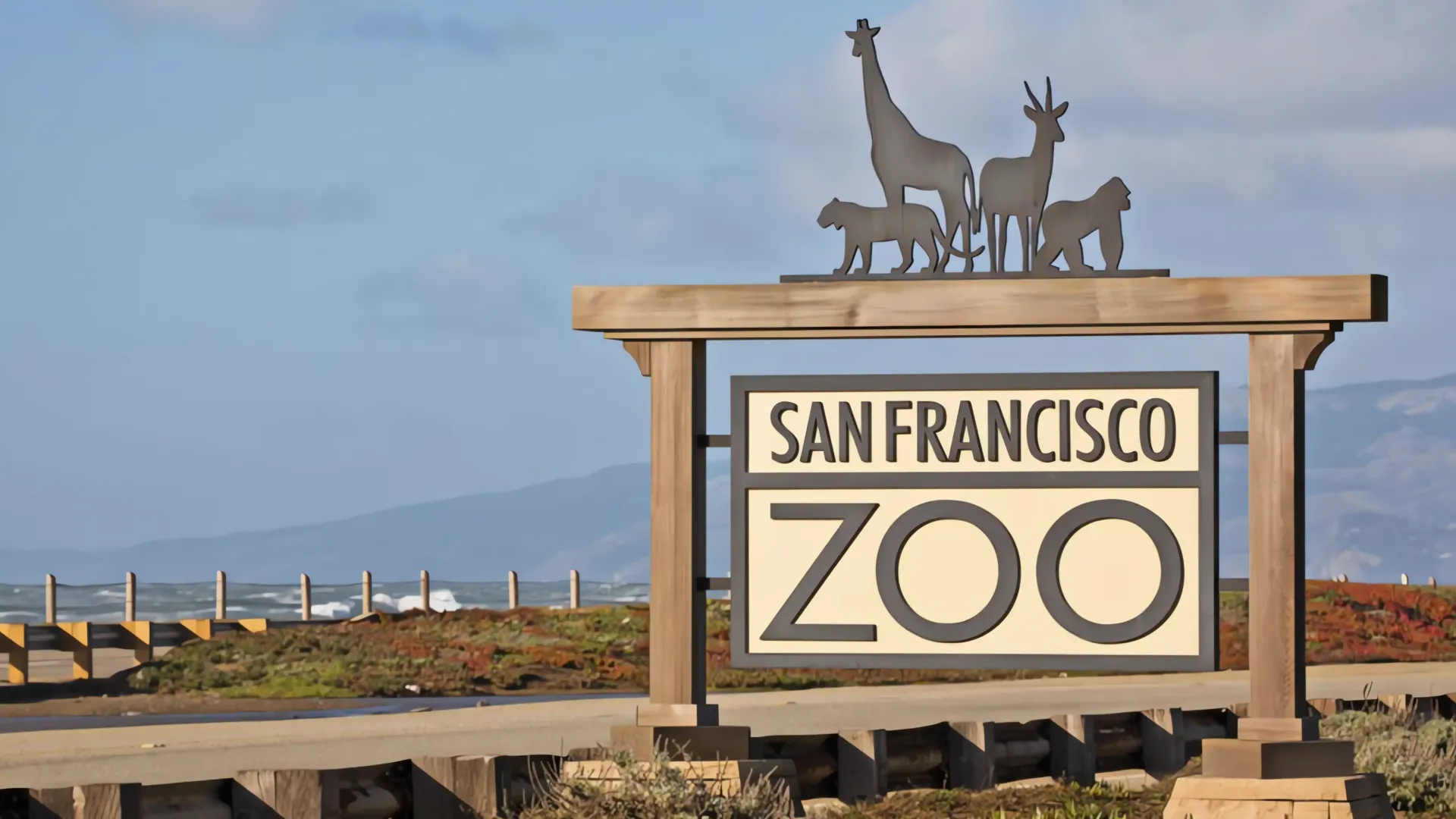 Zoológico de San Francisco: ¿Un peligro para animales y visitantes?