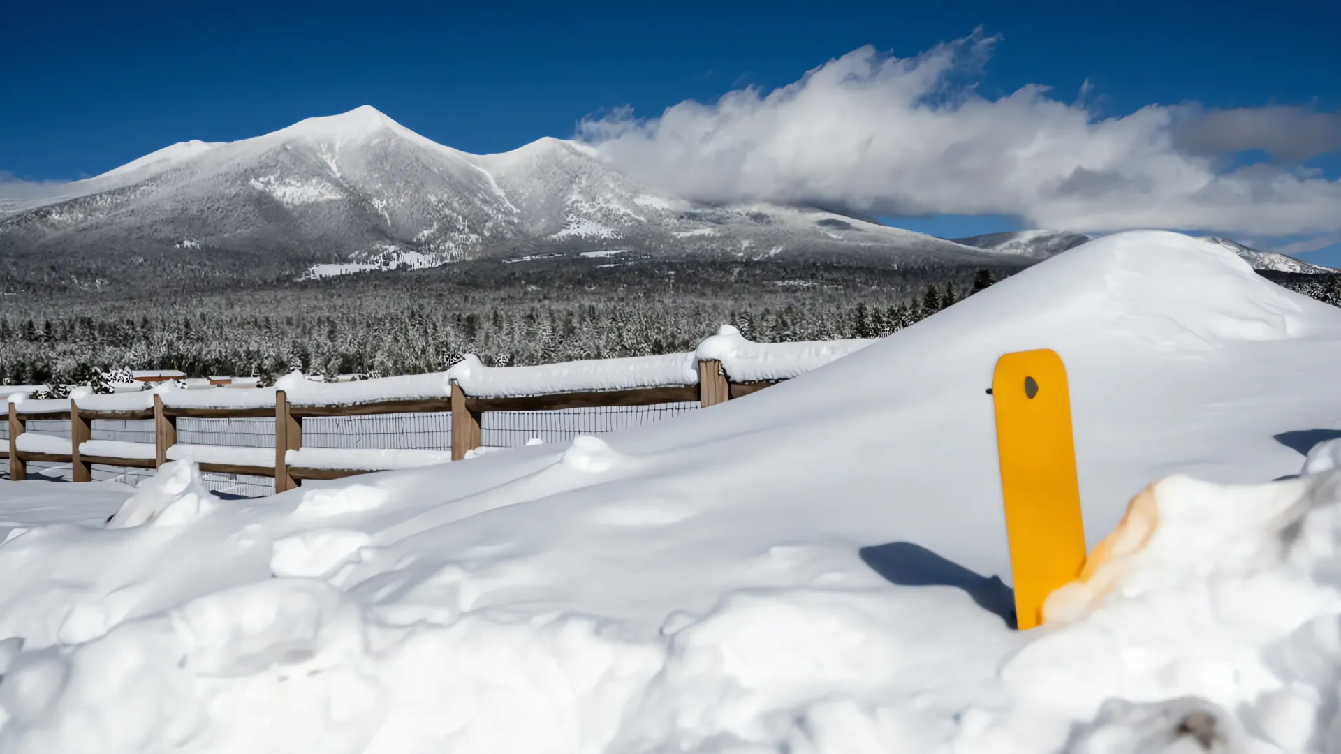 La primera nevada en Arizona: Un invierno sorpresa en las montañas