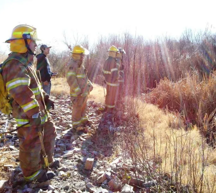 Provocan incendio menores en arroyo