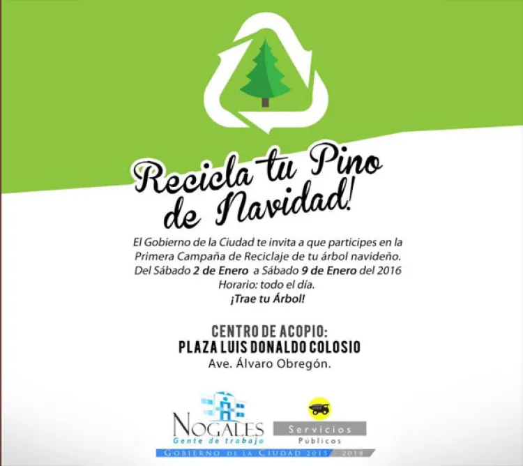 Instalan contenedor  para desechar  pinos navideños