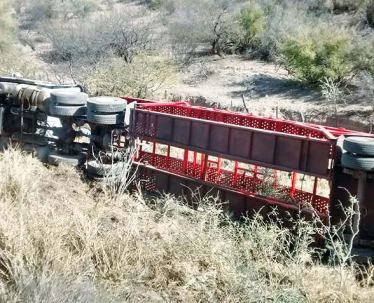 Vuelca tráiler cerca de Magdalena