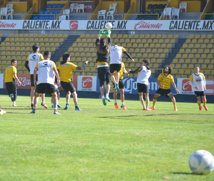 Amaga Rayados  a los Dorados