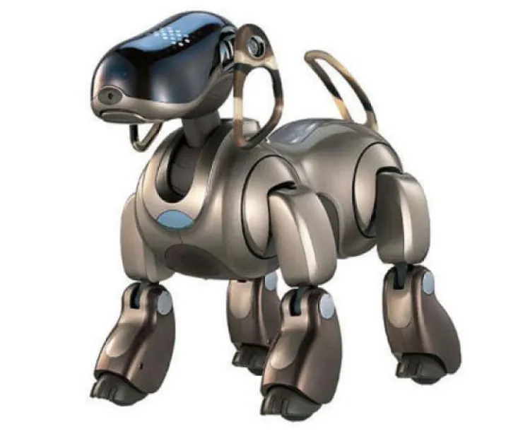 Los 5 robots más famosos del mundo real