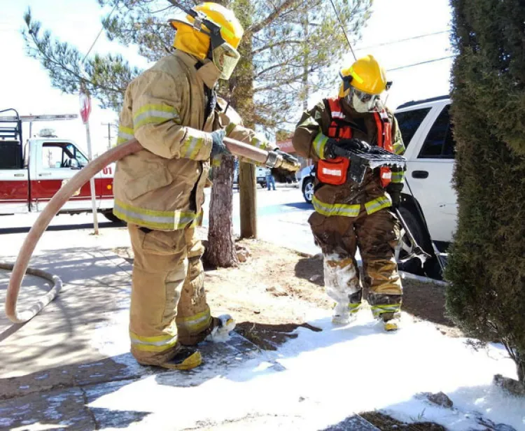 Controlan Bomberos panal de abejas en AP