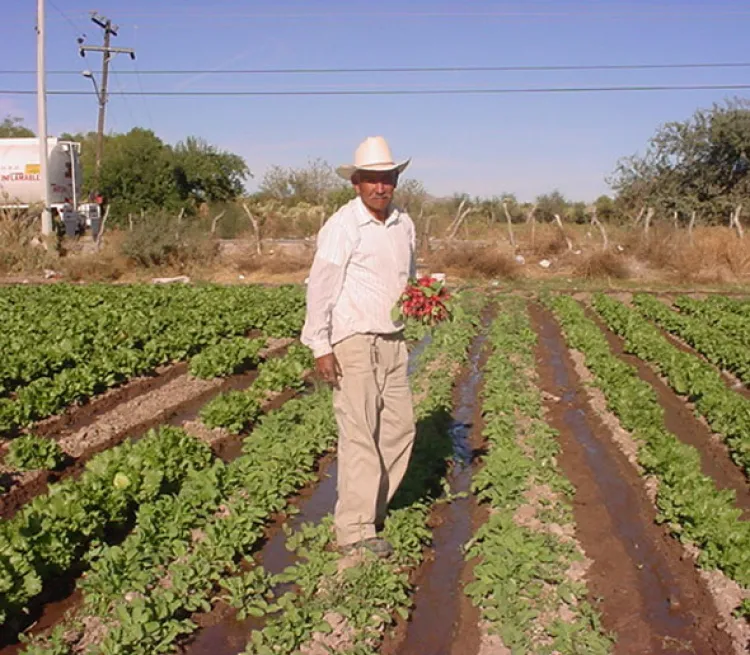 Se extraña a Nayo Ramírez, el agricultor en Magdalena