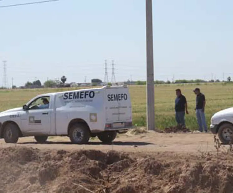 Fallece al caer de un  poste tras recibir  descarga eléctrica