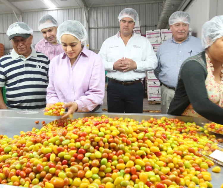 Sedesson e Inaes impulsan proyectos productivos